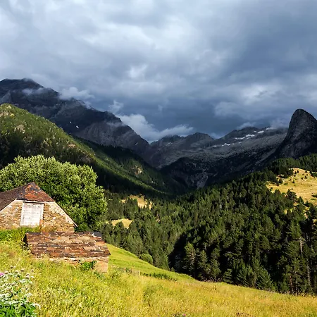 De Apartments&suites *