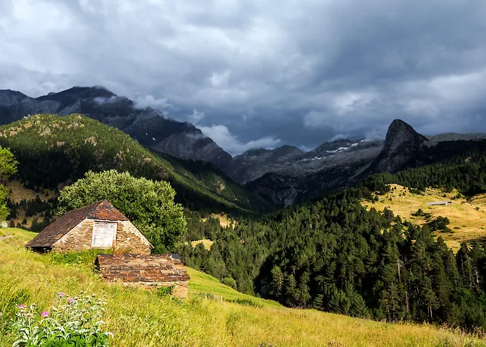 De Apartments&suites *